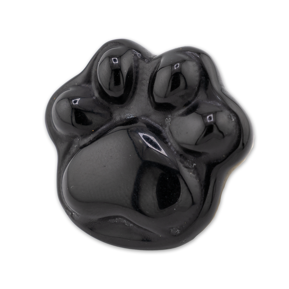 Black paw-shaped object with multiple compartments on a white background